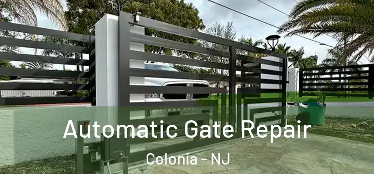 Automatic Gate Repair Colonia - NJ
