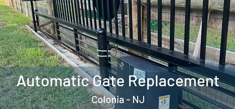  Automatic Gate Replacement Colonia - NJ