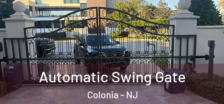 Automatic Swing Gate Colonia - NJ