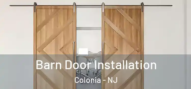  Barn Door Installation Colonia - NJ
