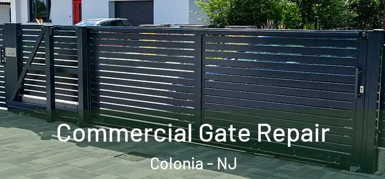  Commercial Gate Repair Colonia - NJ