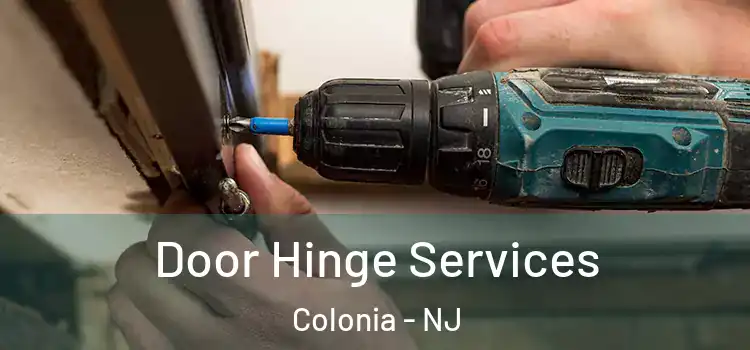  Door Hinge Services Colonia - NJ