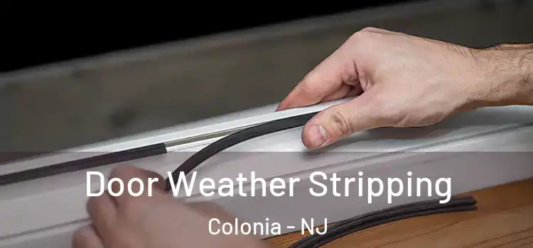  Door Weather Stripping Colonia - NJ