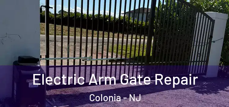  Electric Arm Gate Repair Colonia - NJ