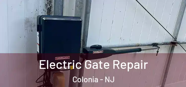 Electric Gate Repair Colonia - NJ