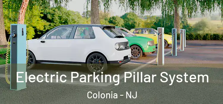  Electric Parking Pillar System Colonia - NJ