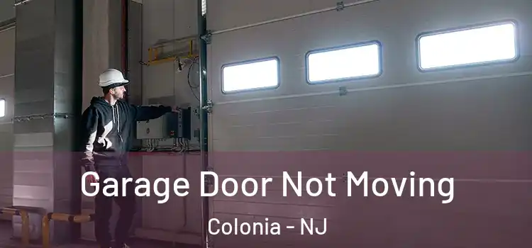 Garage Door Not Moving Colonia - NJ