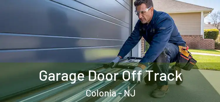  Garage Door Off Track Colonia - NJ