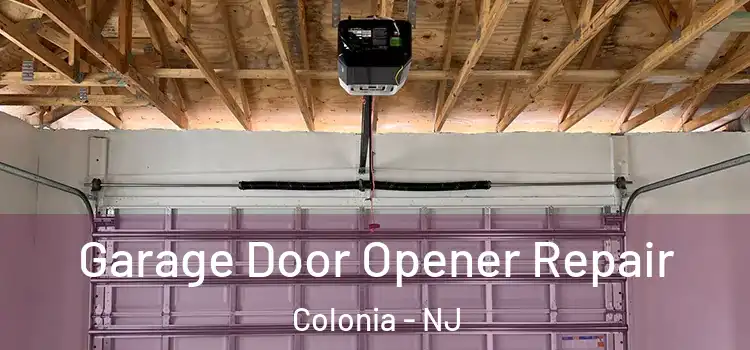  Garage Door Opener Repair Colonia - NJ