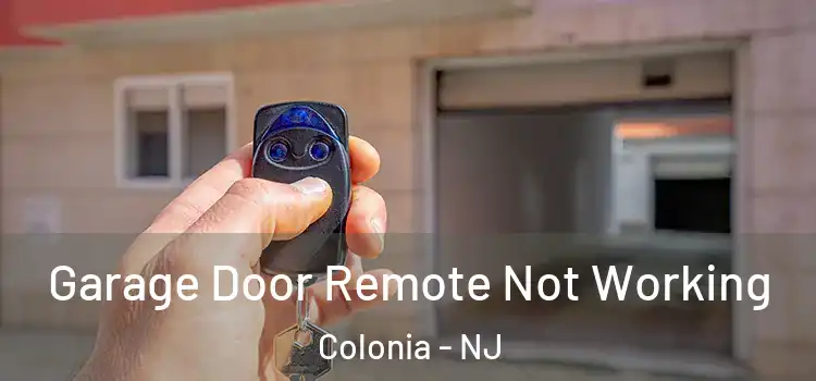  Garage Door Remote Not Working Colonia - NJ