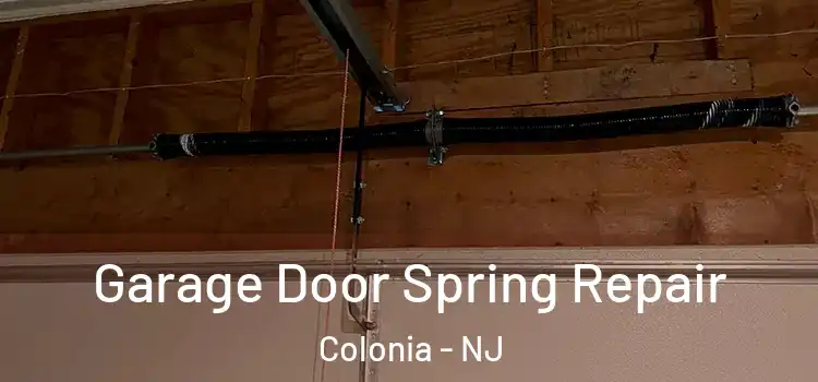  Garage Door Spring Repair Colonia - NJ