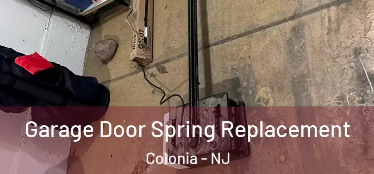  Garage Door Spring Replacement Colonia - NJ