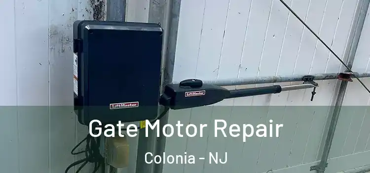  Gate Motor Repair Colonia - NJ