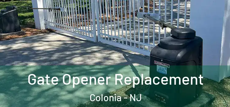 Gate Opener Replacement Colonia - NJ