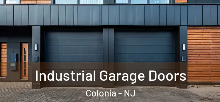  Industrial Garage Doors Colonia - NJ