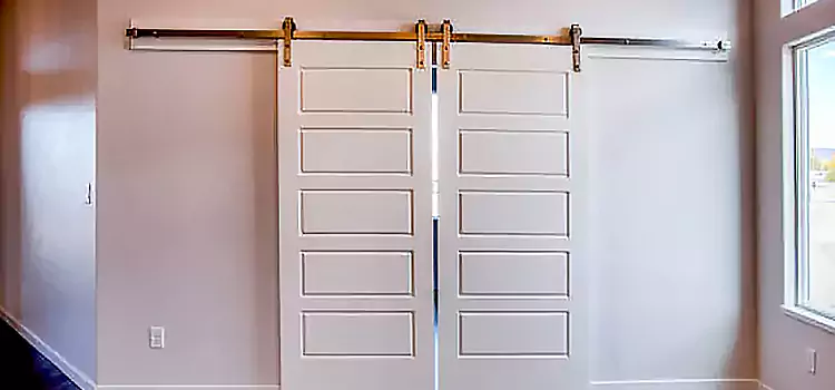 Glass Barn Door with Installation Hardware Kit Colonia
