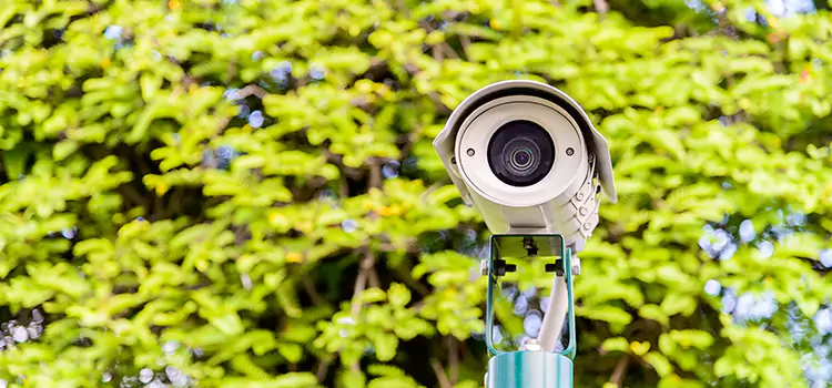 Advanced Surveillance Solutions for Every Need in Colonia