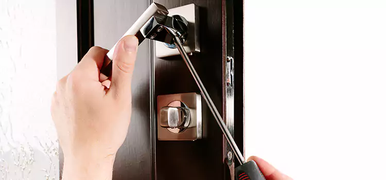 Door Lock Replacement Service Colonia