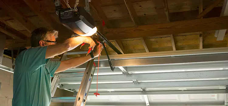 Garage Door Opener Sales and Installation Colonia