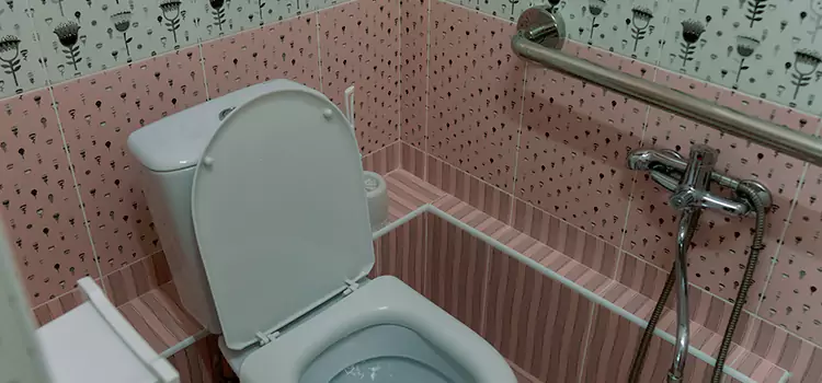 Meeting Diverse Needs With Accessible Restroom Solutions in Colonia, NJ