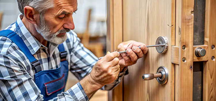 Mortise Replacement Lock Colonia