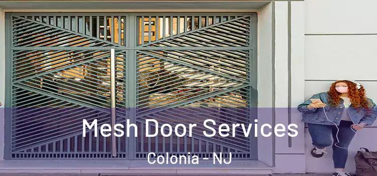  Mesh Door Services Colonia - NJ