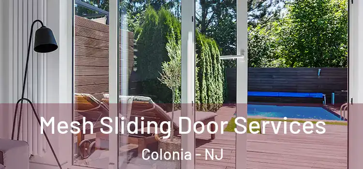Mesh Sliding Door Services Colonia - NJ
