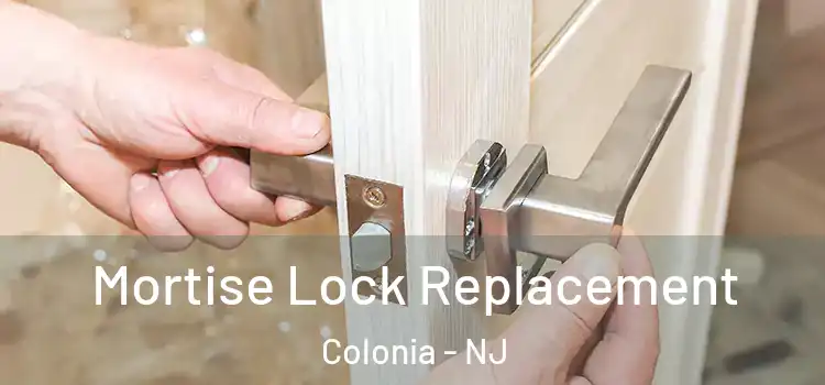 Mortise Lock Replacement Colonia - NJ