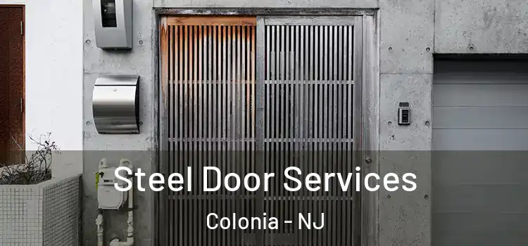  Steel Door Services Colonia - NJ