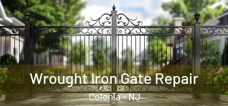  Wrought Iron Gate Repair Colonia - NJ